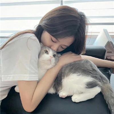 恶搞之家第八季