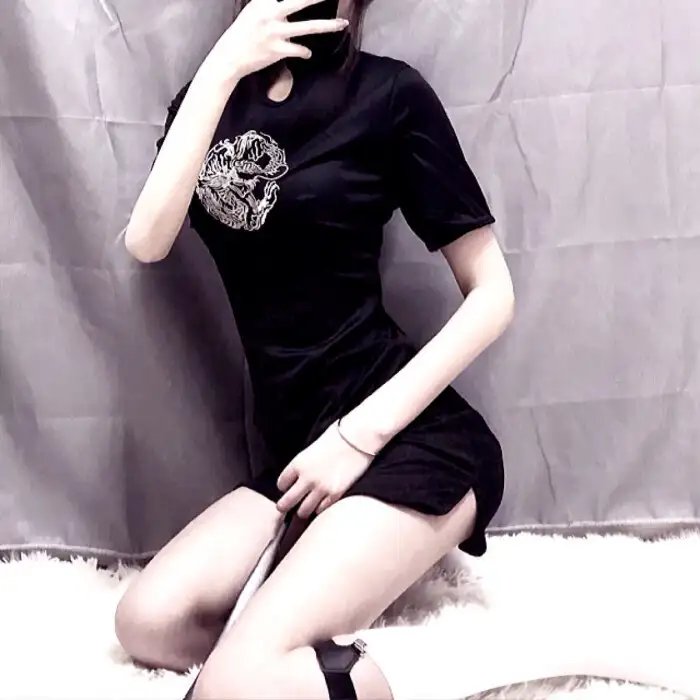 大贼与金丝猫